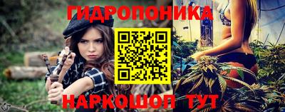 2c-b Камышлов