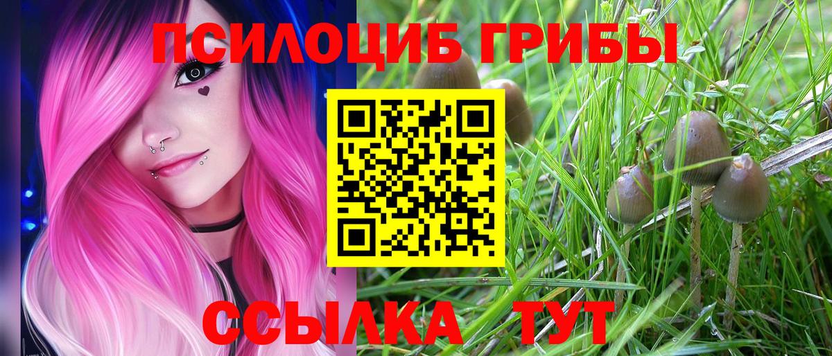Галлюциногенные грибы GOLDEN TEACHER Кувандык