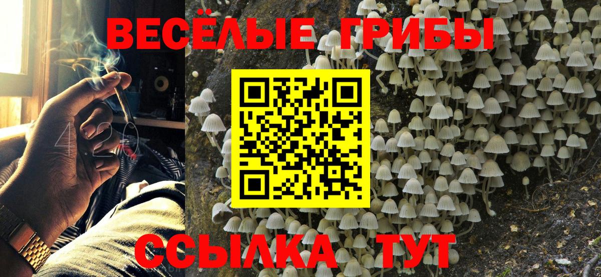 купить закладку  Псилоцибиновые грибы Psilocybine cubensis  Вход с VPN  Кувандык  Галлюциногенные грибы Psilocybine cubensis 